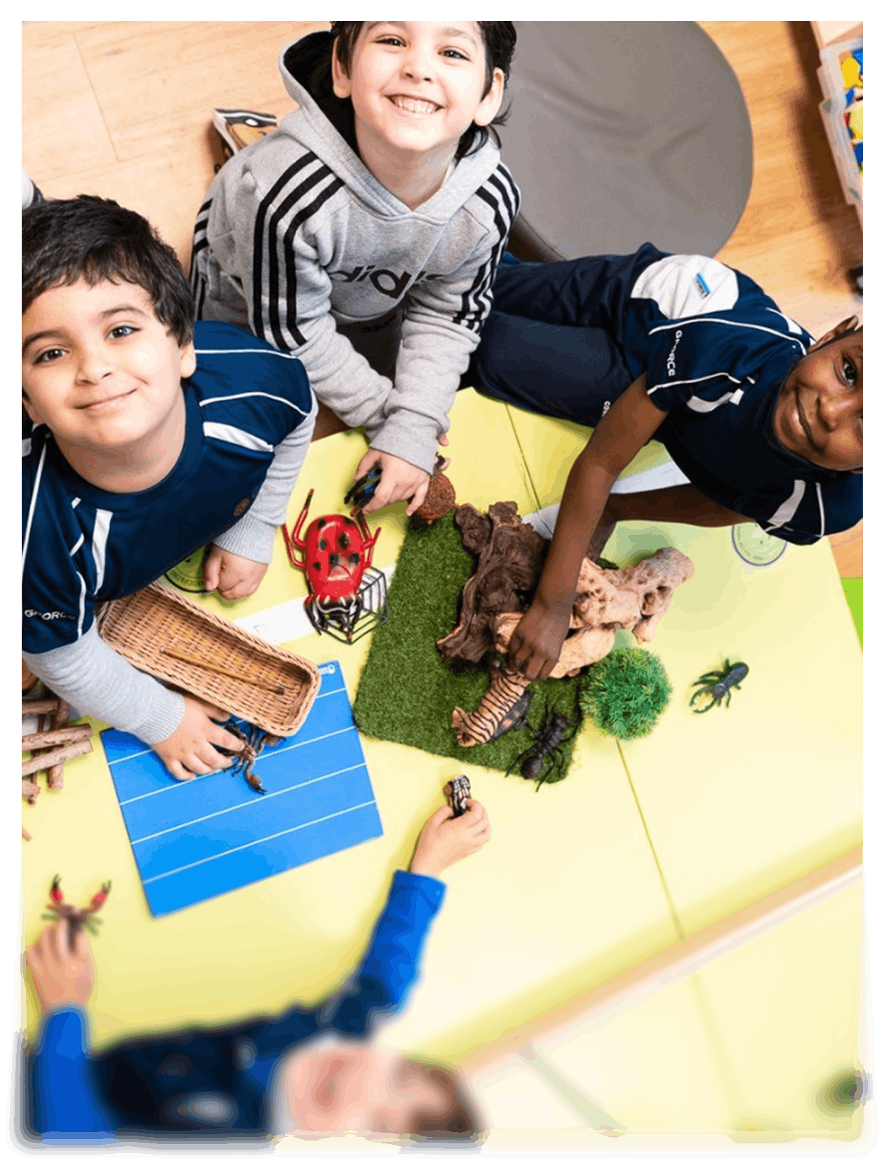 International Baccalaureate (IB) case study